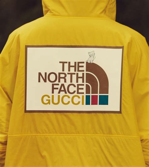 gucci tnf prix|gucci north face icon.